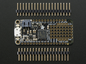 Feather M0 Basic Proto - ATSAMD21 Cortex M0 [1]