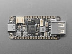 Adafruit Feather RP2040 cu USB de tip A Host [1]