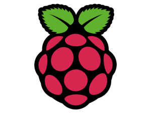 Sticker - Sticker Raspberry Pi