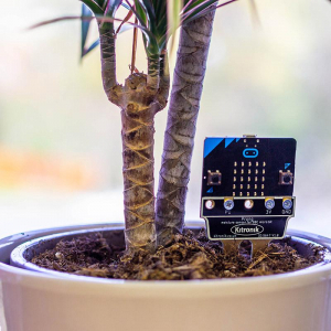 Vreme - Senzor umiditatea solului Kitronik Prong pentru BBC micro:bit