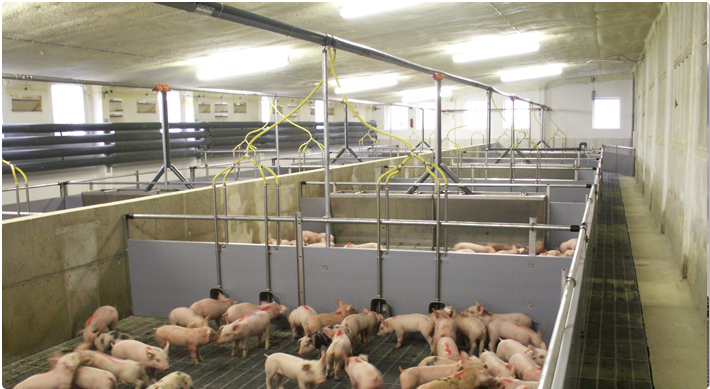 Ghid tehnic pentru instalarea și întreținerea adăpătorilor pentru porci
