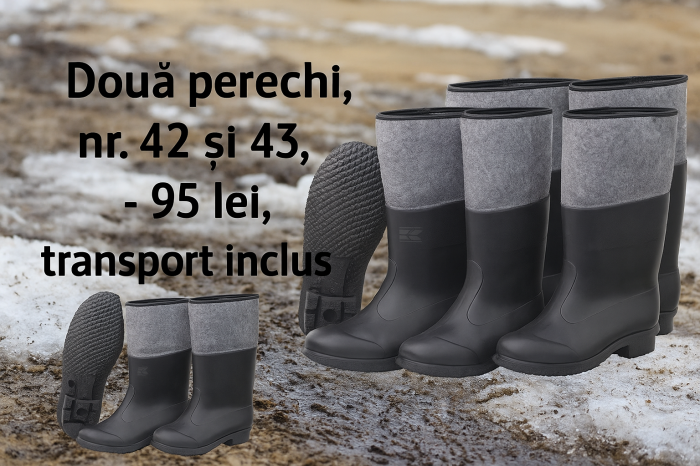 2 Perechi cizme PVC cu căptușeală din pâslă, Nr. 42 și 43 [1]