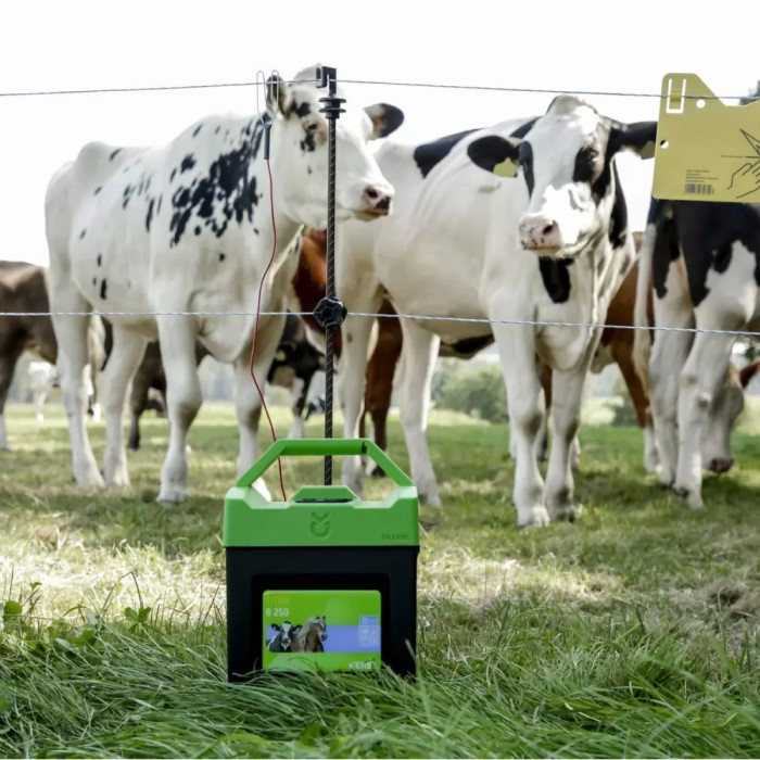 Gard electric camping, stupine, animale domestice [4]