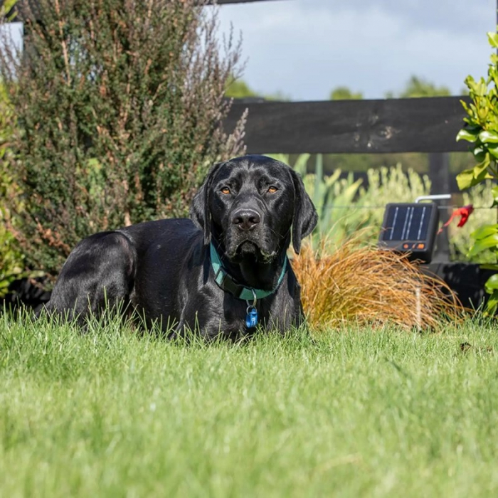 Aparat gard electric solar 3in1 – Gallagher S6 Solar - baterie cu litiu [5]