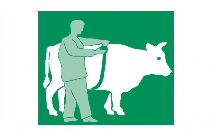 Ruleta masurare greutate, vaci, porci [6]