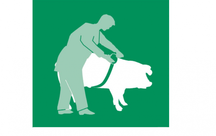 Ruleta masurare greutate, vaci, porci [7]