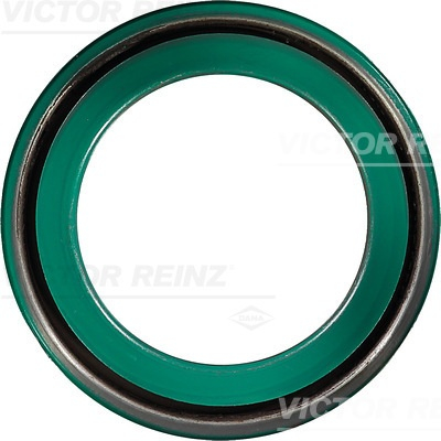 Simering arbore cotit Victor Reinz [2]