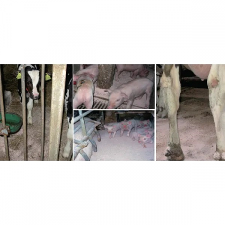 Igiena - Agent de igiena grajd - Absorbant pentru animale