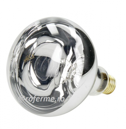 Echipamente boxe - Bec incalzire 250W, infrarosu, sticla transparenta