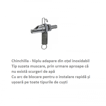 Alte animale - Adapatoare iepuri, cincila