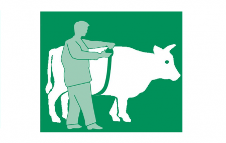 Ruleta masurare greutate, vaci, porci [5]