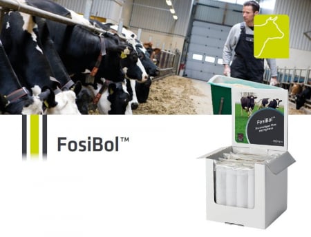 FosiBol - Bolus fosfor pentru vaci [0]