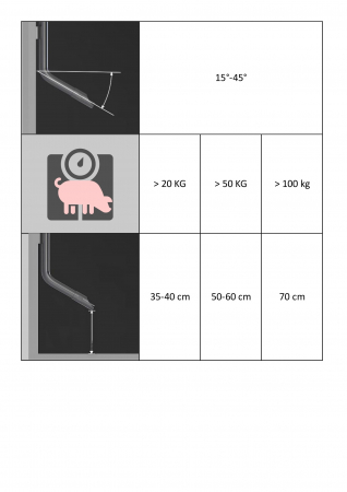 Suzeta muscare 1/2, porci la ingrasat, scroafe [2]
