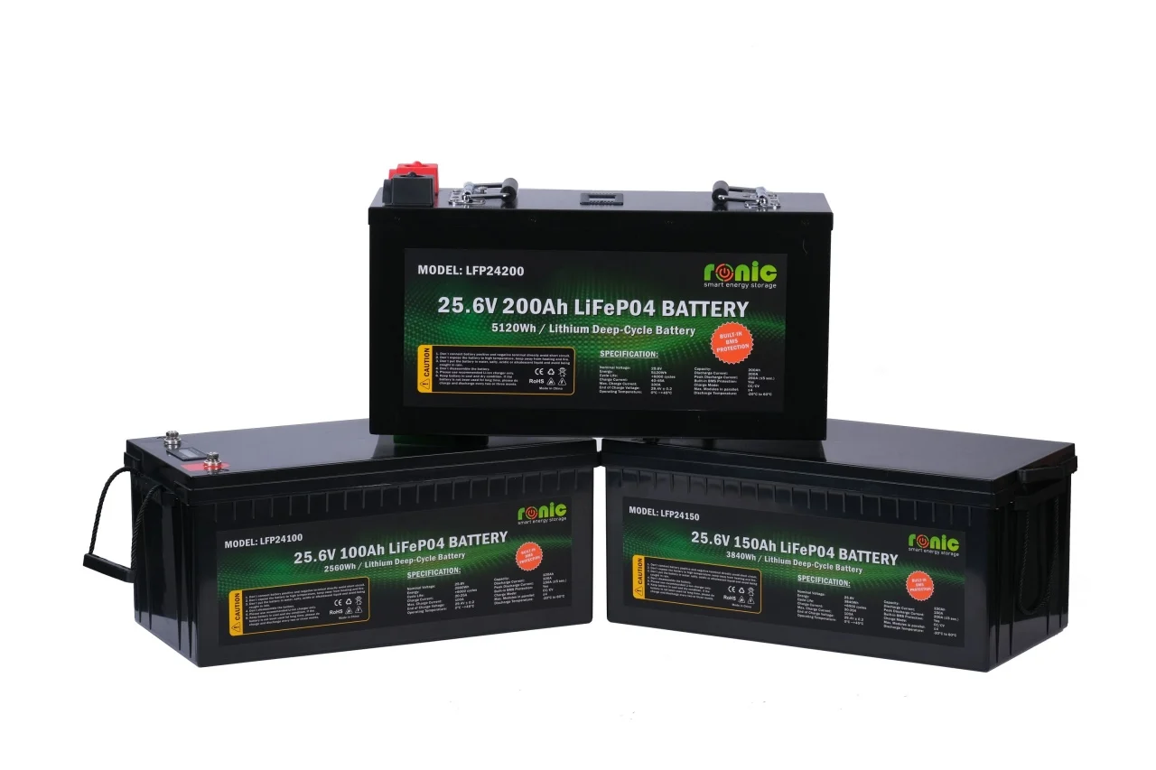 https://www.rolimag.ro/baterie-acumulator-lifepo4-25-6v-100ah-model-lfp24100.html?preview=1#prod-gallery-1 [5]