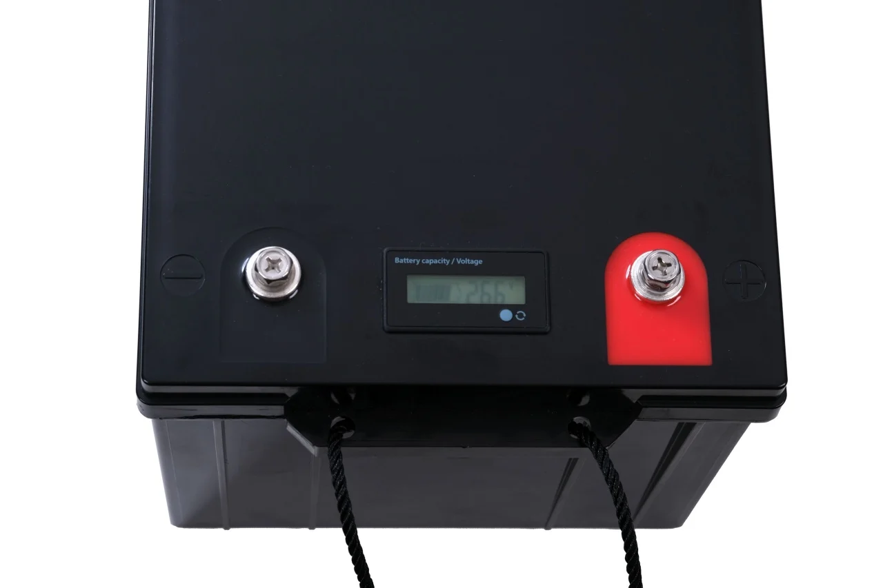 https://www.rolimag.ro/baterie-acumulator-lifepo4-25-6v-100ah-model-lfp24100.html?preview=1#prod-gallery-1 [4]