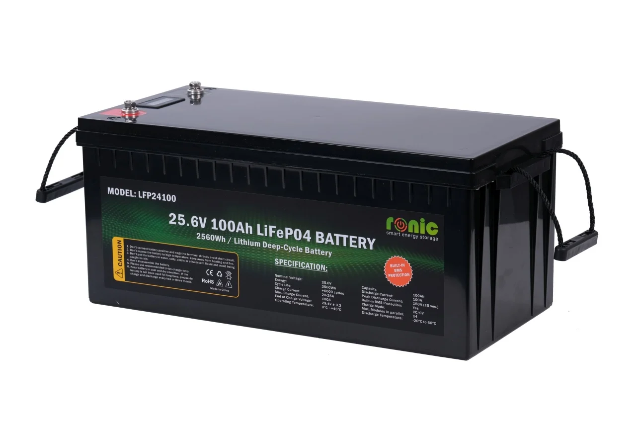 https://www.rolimag.ro/baterie-acumulator-lifepo4-25-6v-100ah-model-lfp24100.html?preview=1#prod-gallery-1 [3]