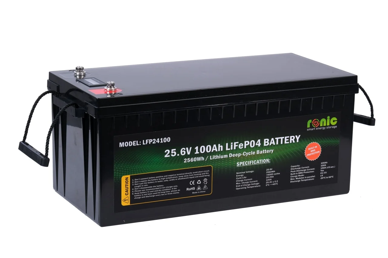 https://www.rolimag.ro/baterie-acumulator-lifepo4-25-6v-100ah-model-lfp24100.html?preview=1#prod-gallery-1 [2]