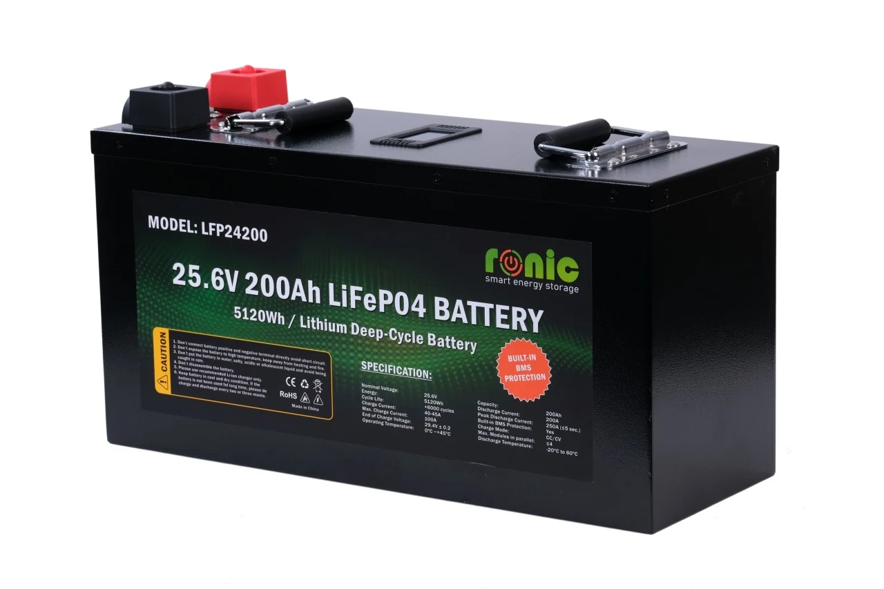 https://www.rolimag.ro/baterie-acumulator-lifepo4-25-6v-200ah-model-lfp24200.html?preview=1#prod-gallery-1 [3]