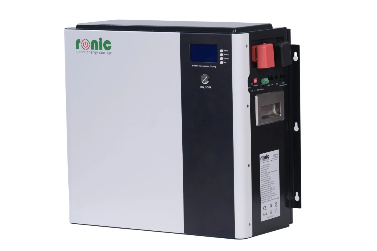 https://www.rolimag.ro/baterie-acumulator-lifepo4-48v-100ah-model-lfp48100.html?preview=1#prod-gallery-1 [3]
