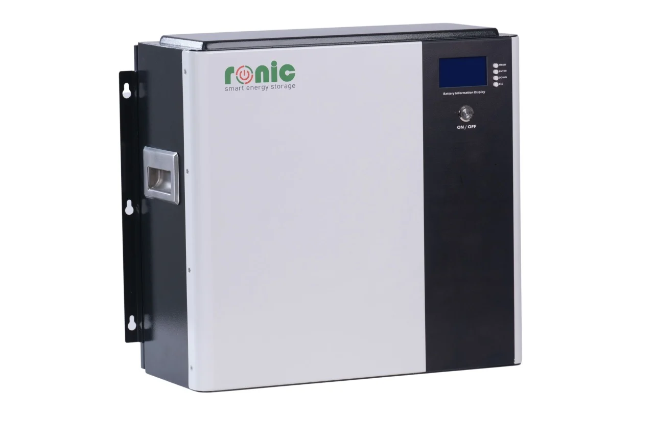 https://www.rolimag.ro/baterie-acumulator-lifepo4-48v-100ah-model-lfp48100.html?preview=1#prod-gallery-1 [2]