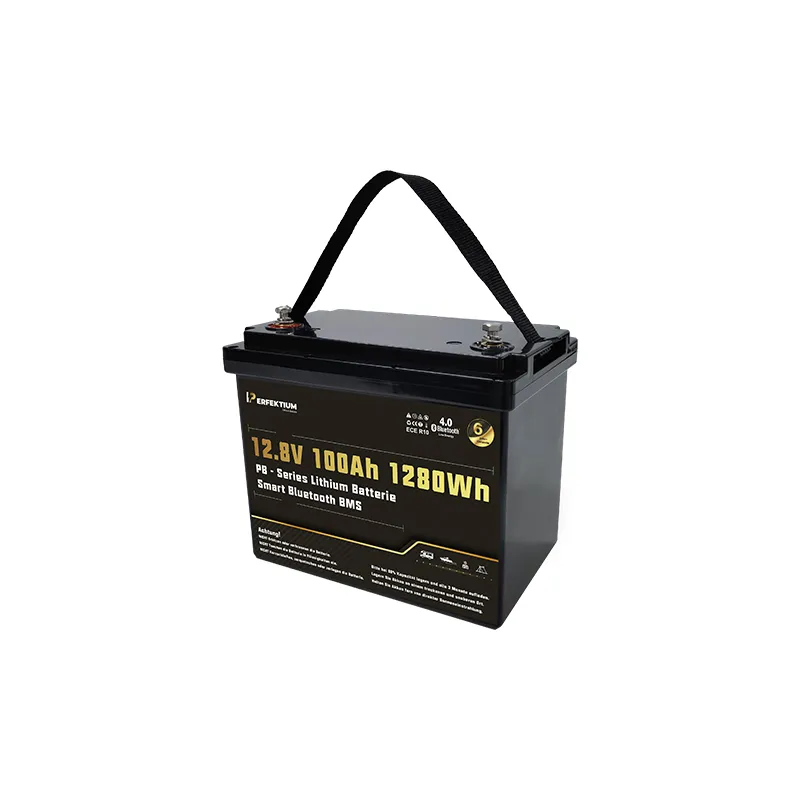 https://www.rolimag.ro/baterie-cu-litiu-perfektium-seria-pb-lifepo4-12-8v-100ah-pro-smart-bms-cu-bluetooth.html?preview=1#prod-gallery-1 [6]
