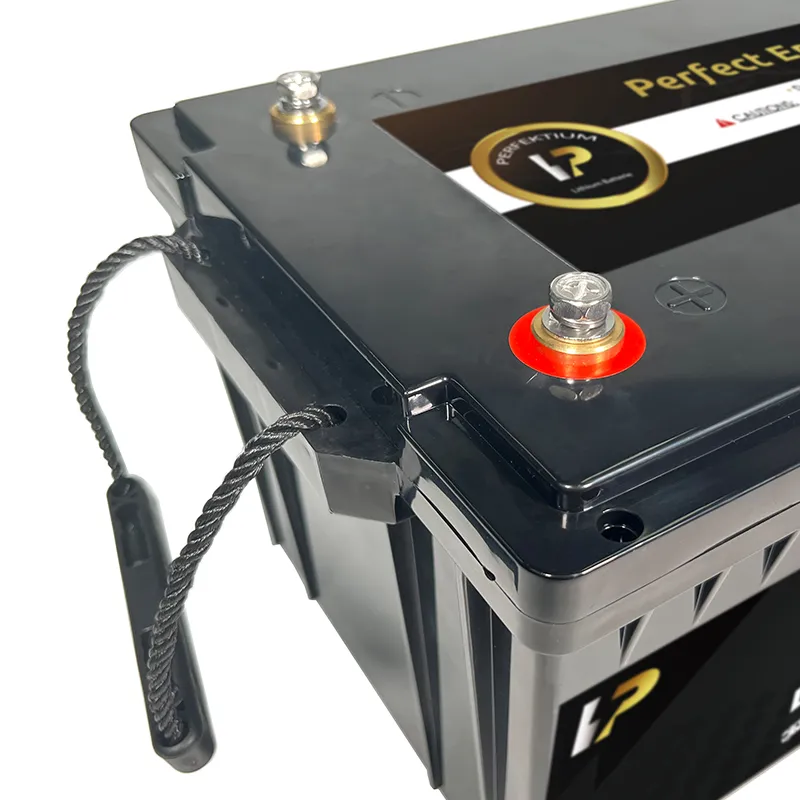 https://www.rolimag.ro/baterie-cu-litiu-perfektium-seria-pb-lifepo4-12-8v-200ah-pro-smart-bms-cu-bluetooth.html?preview=1#prod-gallery-1 [9]
