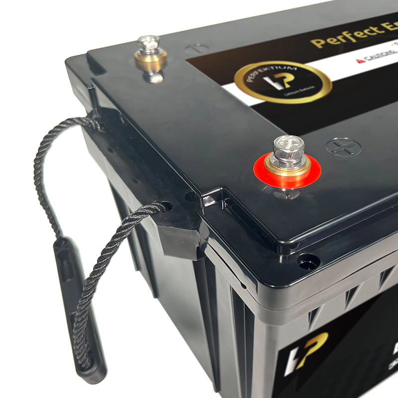 https://www.rolimag.ro/baterie-cu-litiu-perfektium-seria-pb-lifepo4-25-6v-100ah-pro-smart-bms-cu-bluetooth.html?preview=1#prod-gallery-1 [8]