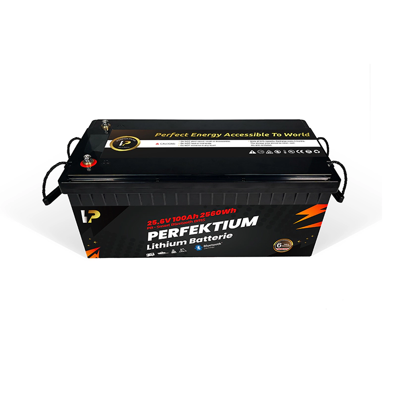 https://www.rolimag.ro/baterie-cu-litiu-perfektium-seria-pb-lifepo4-25-6v-100ah-pro-smart-bms-cu-bluetooth.html?preview=1#prod-gallery-1 [1]