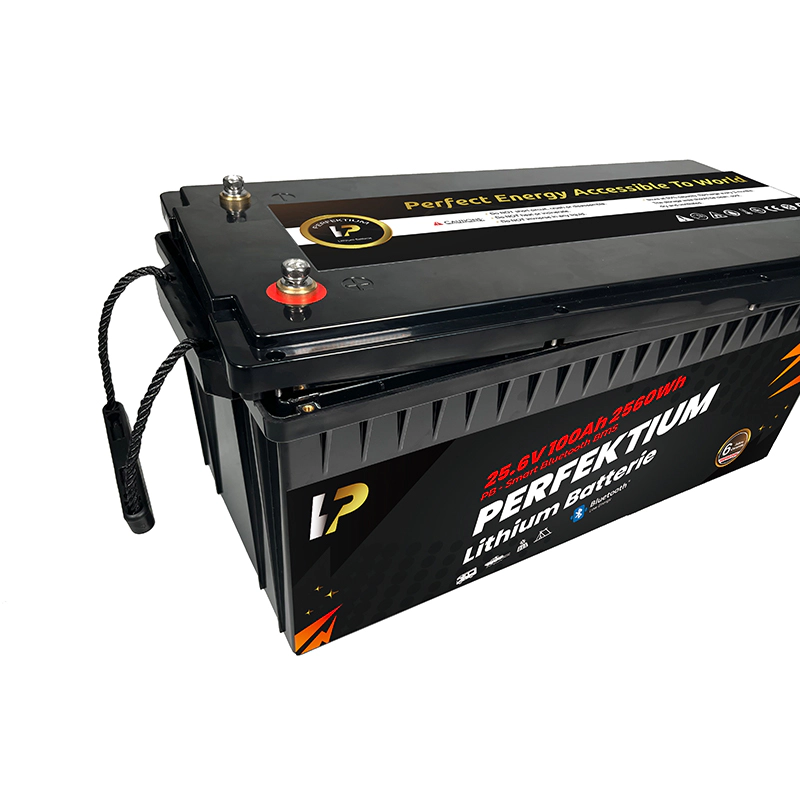 https://www.rolimag.ro/baterie-cu-litiu-perfektium-seria-pb-lifepo4-25-6v-100ah-pro-smart-bms-cu-bluetooth.html?preview=1#prod-gallery-1 [6]