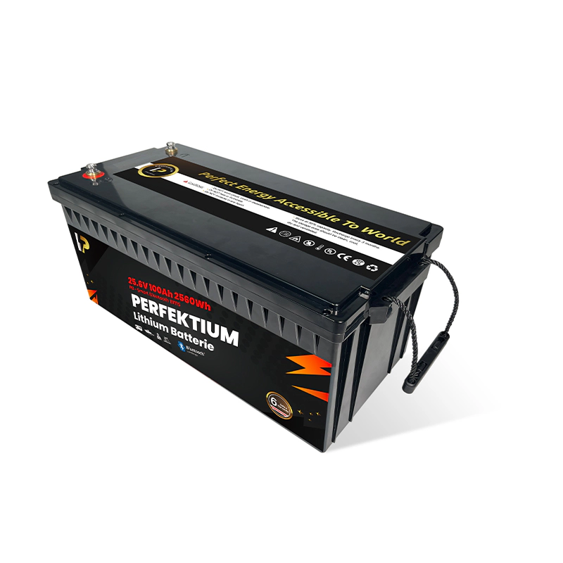 https://www.rolimag.ro/baterie-cu-litiu-perfektium-seria-pb-lifepo4-25-6v-100ah-pro-smart-bms-cu-bluetooth.html?preview=1#prod-gallery-1 [4]
