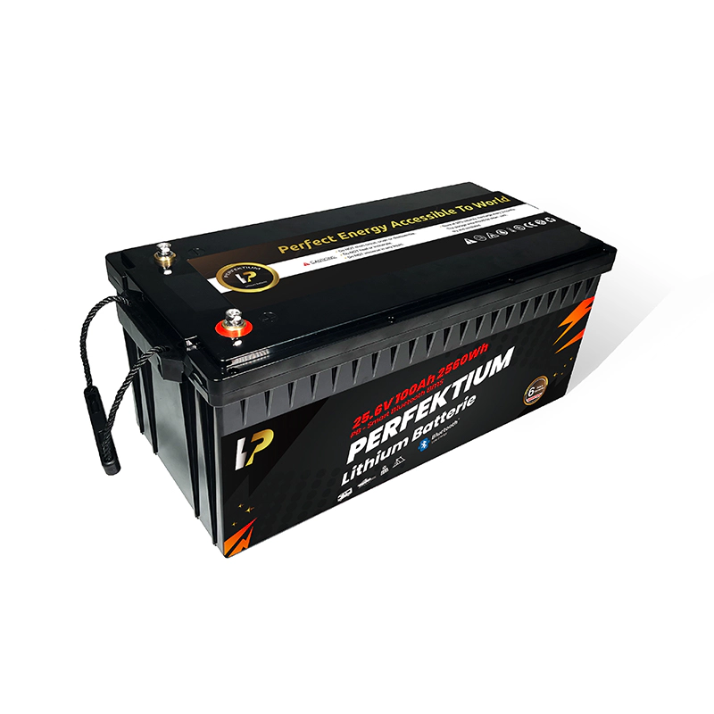 https://www.rolimag.ro/baterie-cu-litiu-perfektium-seria-pb-lifepo4-25-6v-100ah-pro-smart-bms-cu-bluetooth.html?preview=1#prod-gallery-1 [3]