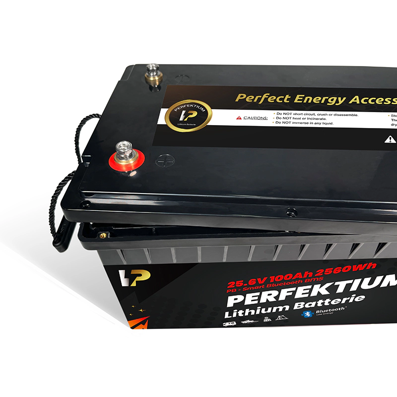https://www.rolimag.ro/baterie-cu-litiu-perfektium-seria-pb-lifepo4-25-6v-100ah-pro-smart-bms-cu-bluetooth.html?preview=1#prod-gallery-1 [7]