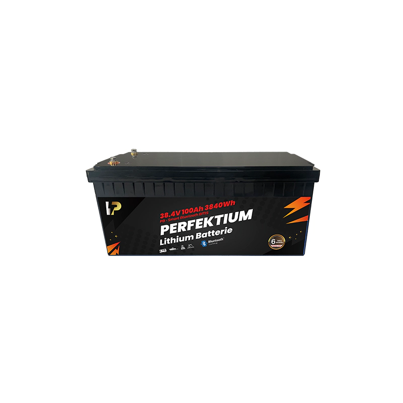 https://www.rolimag.ro/baterie-cu-litiu-perfektium-seria-pb-lifepo4-38-4-v-100-ah-smart-bms-cu-bluetooth.html?preview=1#prod-gallery-1 [8]