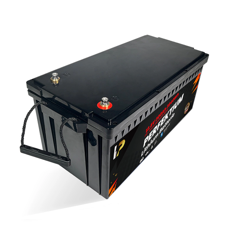 https://www.rolimag.ro/baterie-litiu-300ah-pro-12v-lifepo4-smart-bms-bluetooth-perfectium.html?preview=1#prod-gallery-1 [6]