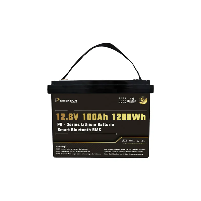LiFePO4 - https://www.rolimag.ro/baterie-cu-litiu-perfektium-seria-pb-lifepo4-12-8v-100ah-pro-smart-bms-cu-bluetooth.html?preview=1#prod-gallery-1