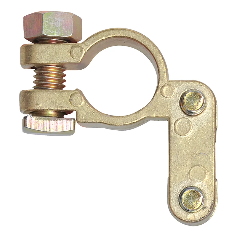 Accesorii - Borna baterie (+)