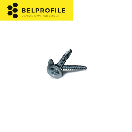 Holtzsurub 4.8 x 35mm, 250 buc/cutie [1]