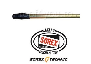 Maner lateral Sorex [2]