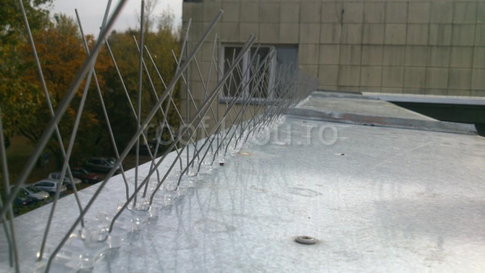 Tepi antipasari TIP V, 60 tepi / 1m, latime protejata 10-15 cm, L=50cm/buc, 100 buc/cutie - RFY [4]