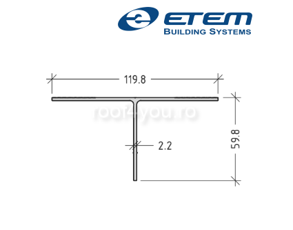 - Structuri fatade ventilate - Profil aluminiu "T",120 x 60 x 2,2 mm, Etem