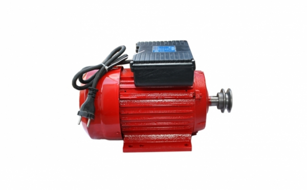 Motor electric TROIAN monofazat (monofazic) 3 KW 3000 Rpm, Micul Fermier GF-1159 [2]