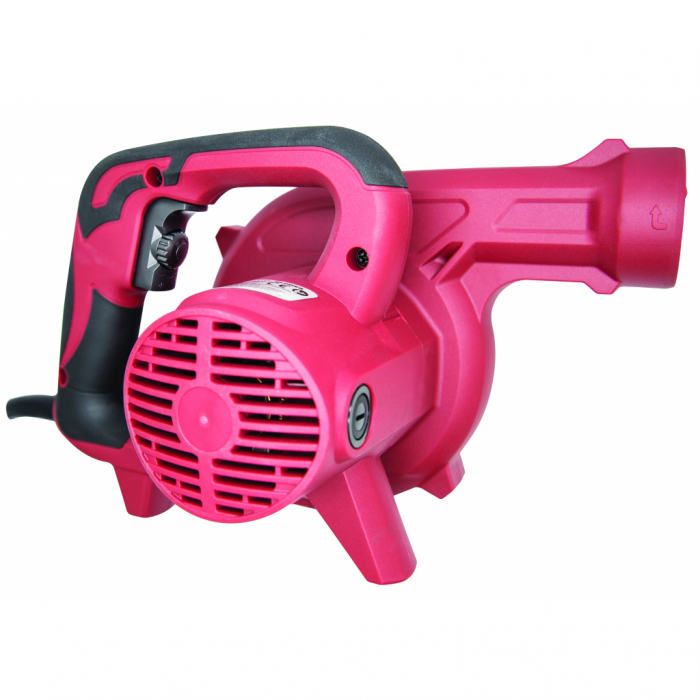 Suflanta frunze, functie aspirare, 650W, viteza variablia, Raider RDI-EBV06 [2]