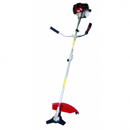 Motocoase Benzina & Motocoase de Umar - Motocoasa pe benzina, pliabila, 1.5kW, 2 CP, accesorii, pornire EASY ON, Raider RD-GBC10