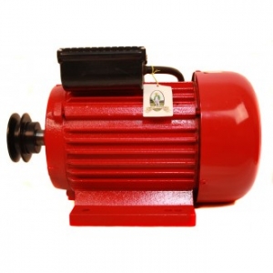 Motor electric TROIAN monofazat (monofazic) 3 KW 3000 Rpm, Micul Fermier GF-1159 [4]