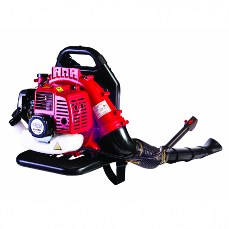 Scule Electrice - Suflanta pe benzina, tip rucsac, 43cc, 1.25kw, 720 m³/h, Raider RD-GB06