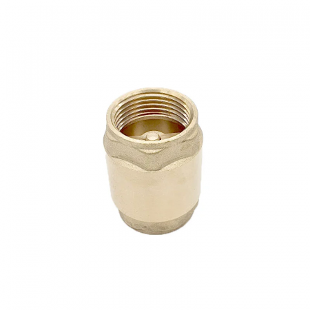 Pompe Adancime - Supapa alama cu arc inox, clapa alama dn 1" alama