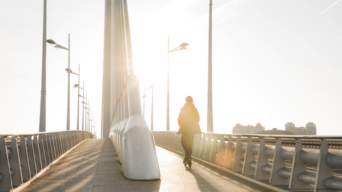 Trotineta electrica Bongo Serie A Advance Connected, putere motor 350 W, baterie detasabila, autonomie 35 Km, viteza maxima 25 Km/h [14]
