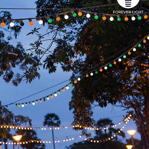 Ghirlanda luminoasa decorativa exterior Forever Light 12m cu 10 becuri LED E27, G45 Alb/Roz/Albastru IP65 [4]