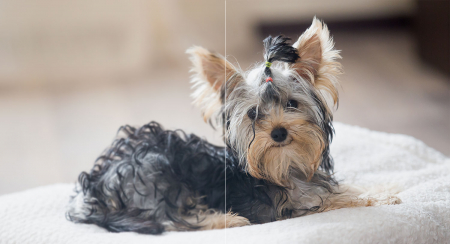 Camera de supraveghere IP WIFI NOUS W5 Smart, Interior, 2K Ultra HD [2]