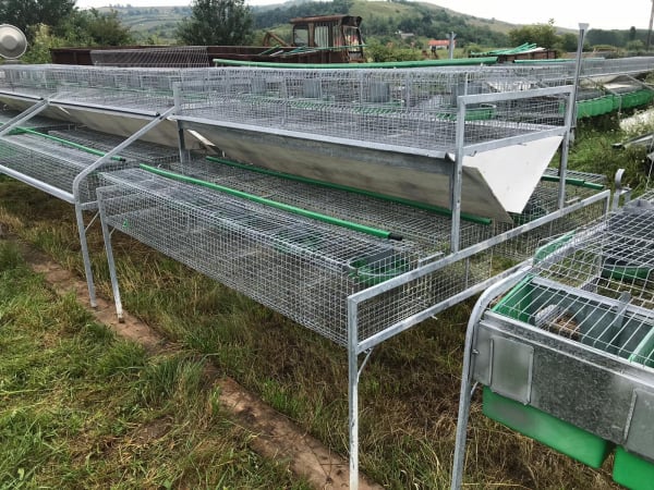 Cusca Ingrasare 48 [16]